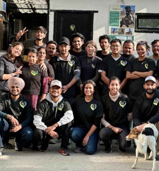 From a motorcycle and first-aid kit in 2019, Manali Strays has grown into a 15-person animal rescue operation serving stray animals across the Kullu valley.