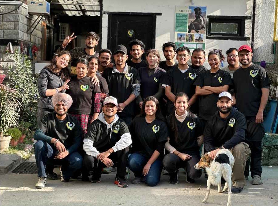 From a motorcycle and first-aid kit in 2019, Manali Strays has grown into a 15-person animal rescue operation serving stray animals across the Kullu valley.