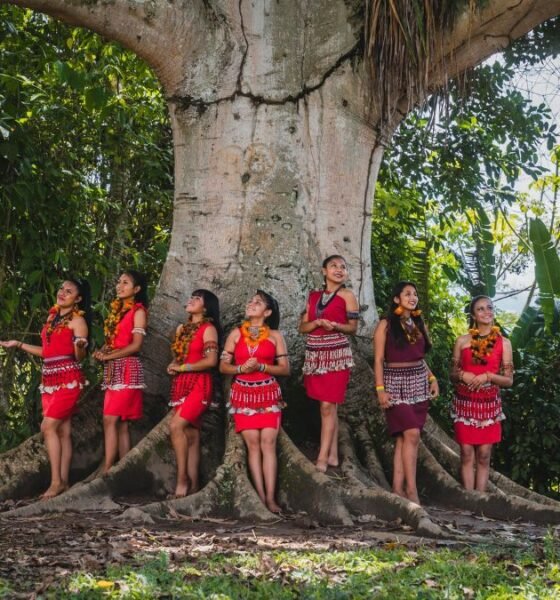 Indigenous women standing beside a large tree in a tropical forest, illustrating the relationship between Indigenous communities and nature conservation
