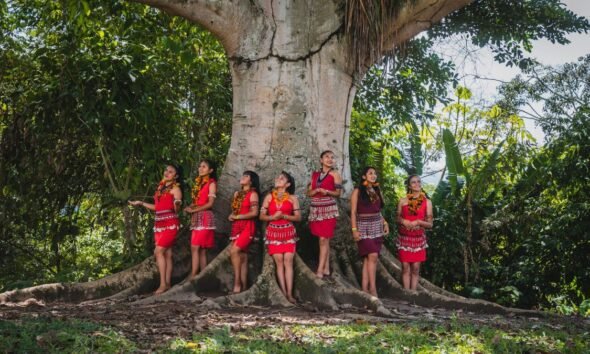 Indigenous women standing beside a large tree in a tropical forest, illustrating the relationship between Indigenous communities and nature conservation