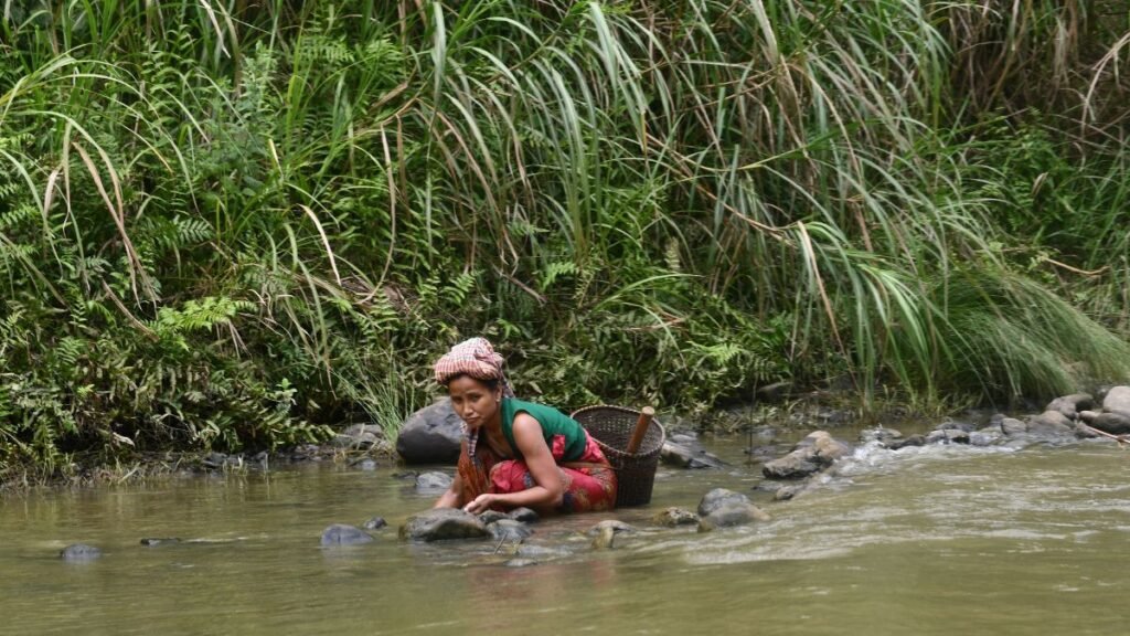 Indigenous Peoples and Nature Conservation: What the Research Shows 42 Forest-dwelling woman in traditional attire collecting resources from a stream, reflecting Indigenous and tribal communities’ relationship with forests in India