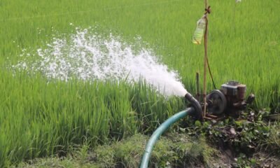Agricultural pump irrigating a paddy field, illustrating groundwater use for farming in rural India