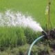 Agricultural pump irrigating a paddy field, illustrating groundwater use for farming in rural India