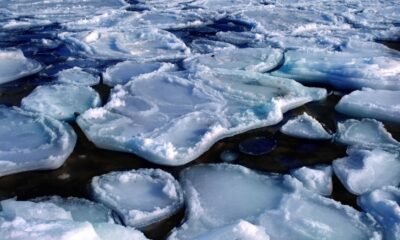 Arctic sea ice floating on dark ocean water, illustrating rapid polar changes and their potential influence on India’s monsoon.