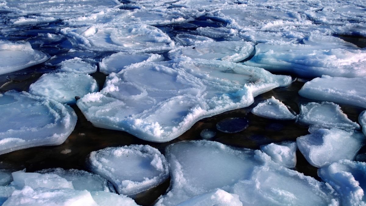 Arctic sea ice floating on dark ocean water, illustrating rapid polar changes and their potential influence on India’s monsoon.