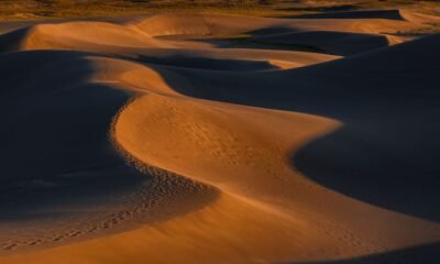 Wind-shaped sand dunes casting long shadows across a desert landscape, with footprints visible along a dune ridge.