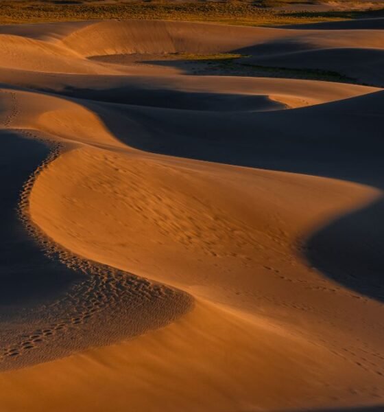 Wind-shaped sand dunes casting long shadows across a desert landscape, with footprints visible along a dune ridge.