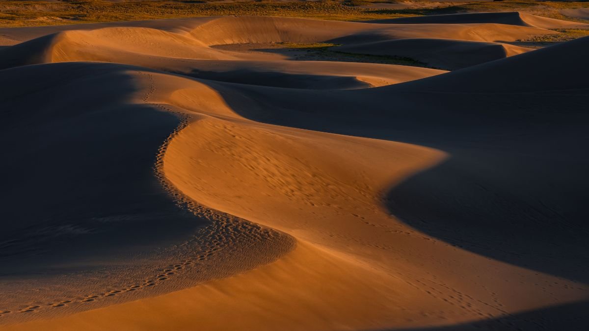 Wind-shaped sand dunes casting long shadows across a desert landscape, with footprints visible along a dune ridge.