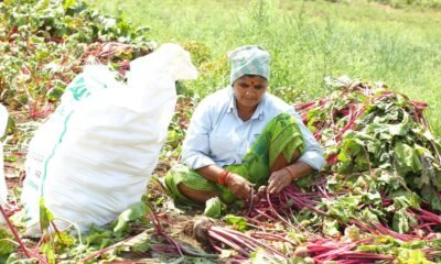 India Agrarian Crisis: Why Nutritious Food Is Becoming Unaffordable