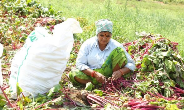 India Agrarian Crisis: Why Nutritious Food Is Becoming Unaffordable