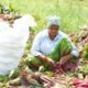 India Agrarian Crisis: Why Nutritious Food Is Becoming Unaffordable