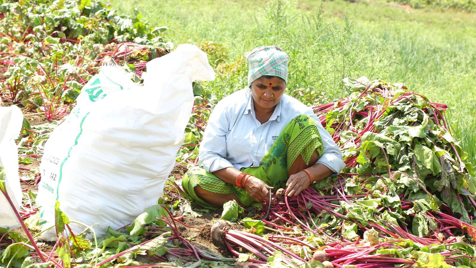 India Agrarian Crisis: Why Nutritious Food Is Becoming Unaffordable