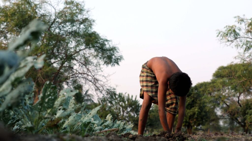 How India's Agrarian Crisis Is Making Nutritious Food Unaffordable 42 India's Agrarian Crisis: Why Nutritious Food Is Becoming Unaffordable