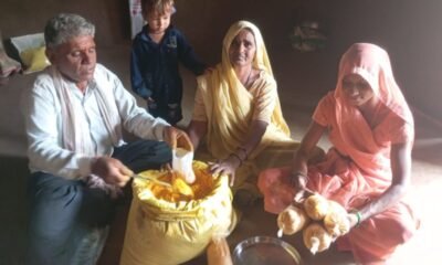 Organic Turmeric Farming