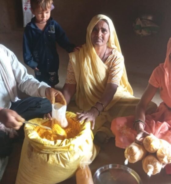 Organic Turmeric Farming