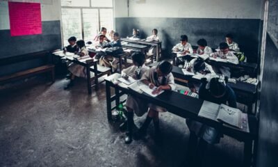 Environmental Literacy, Not Tree Planting, Is What India's Schools Need