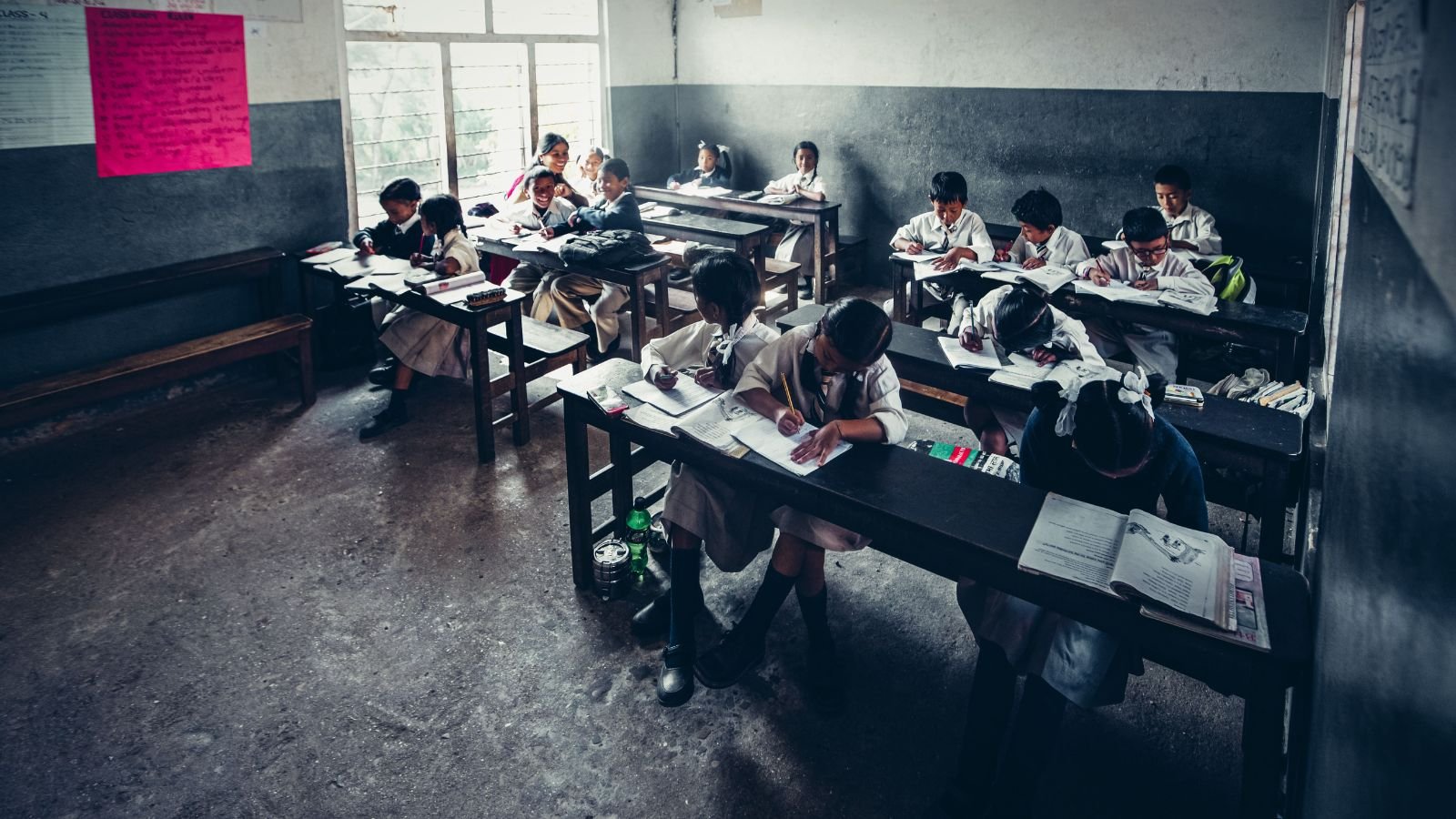 Environmental Literacy, Not Tree Planting, Is What India's Schools Need