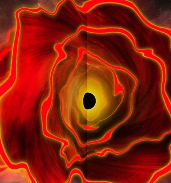 A black hole star in the early universe