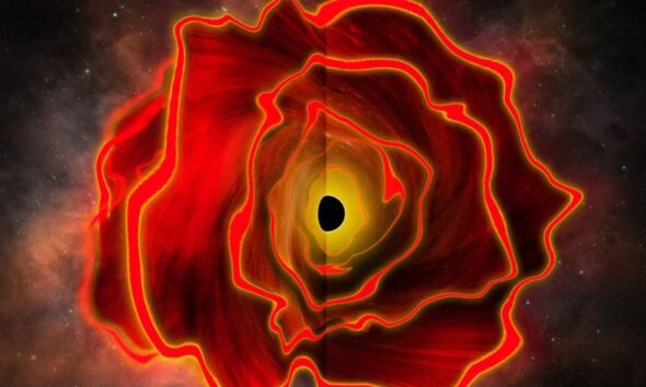 A black hole star in the early universe