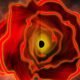 A black hole star in the early universe