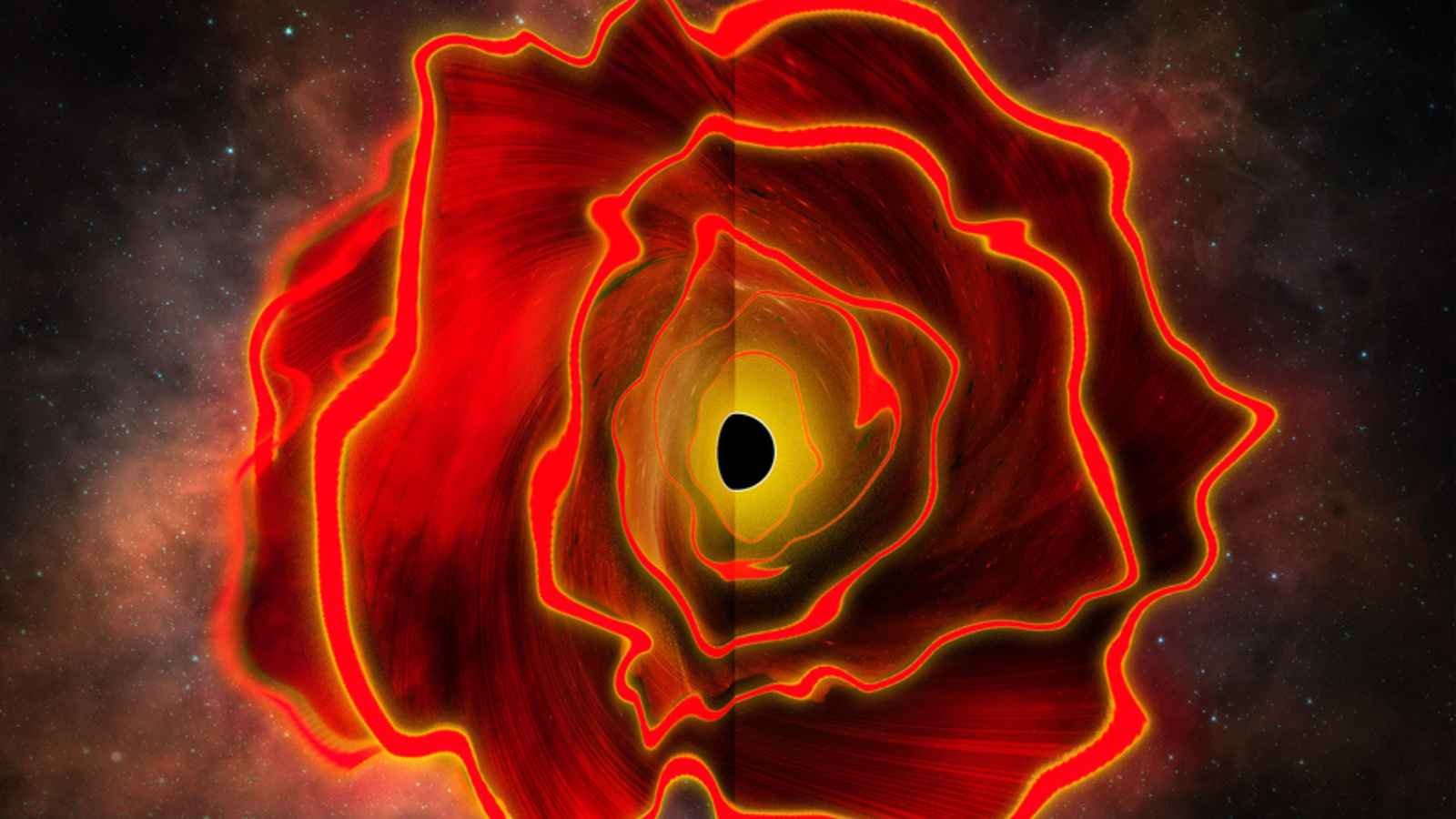 A black hole star in the early universe