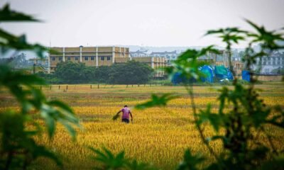 Climate-resilient agriculture