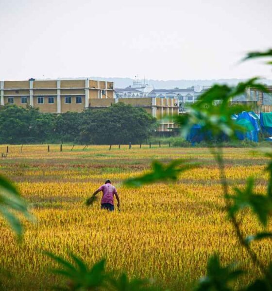Climate-resilient agriculture