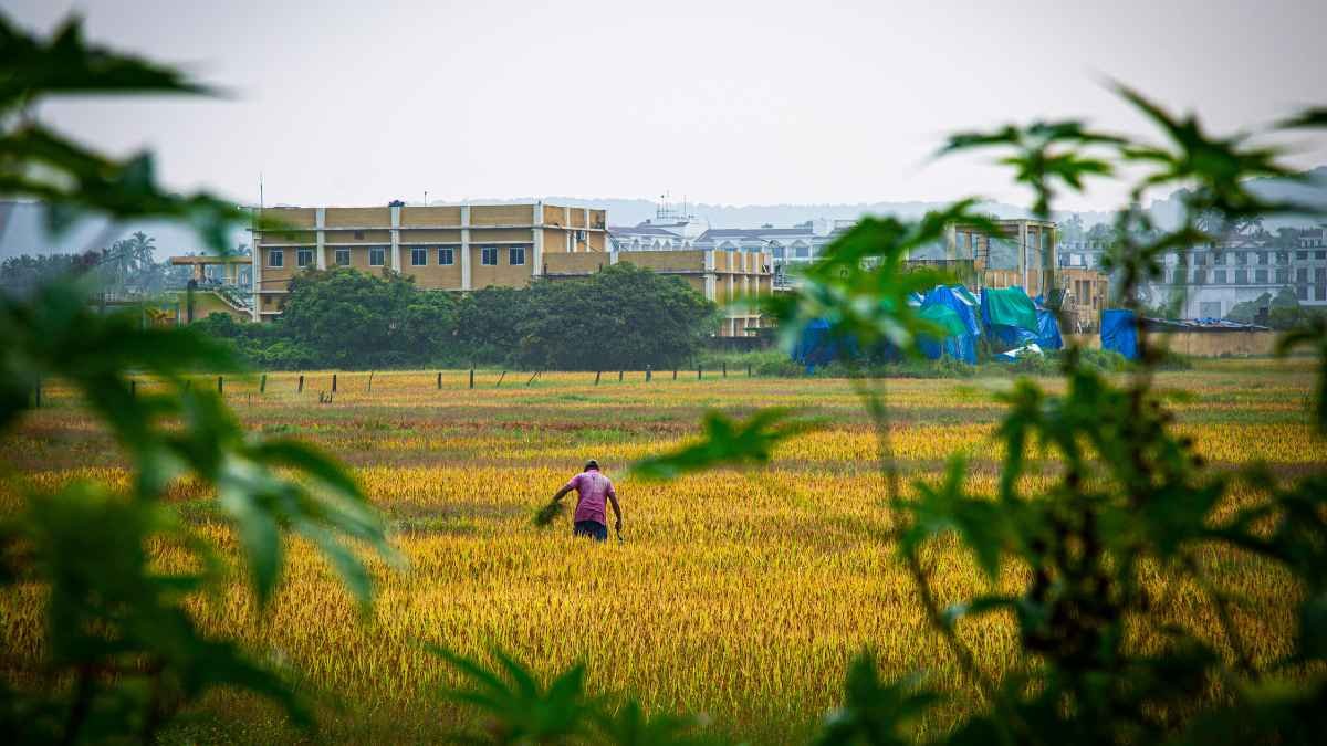 Climate-resilient agriculture
