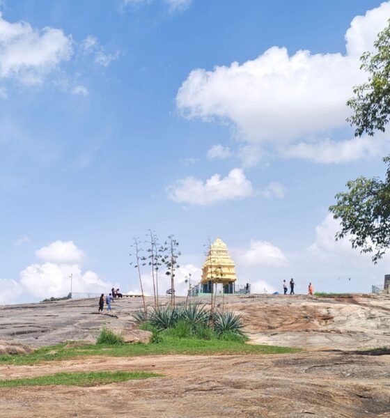 Lalbagh tunnel road debate
