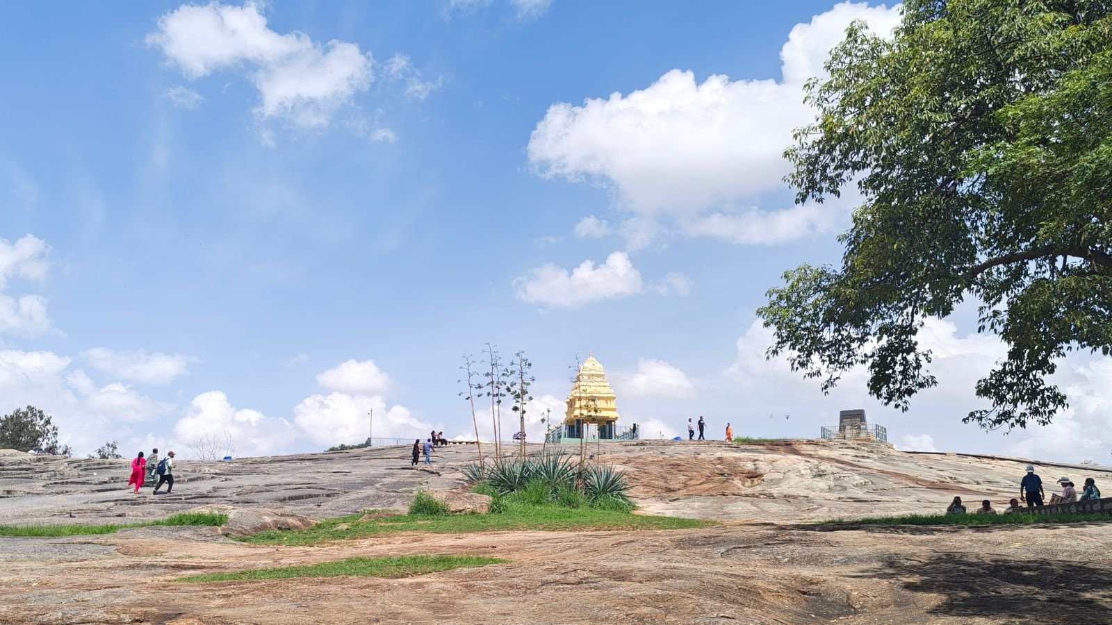 Lalbagh tunnel road debate