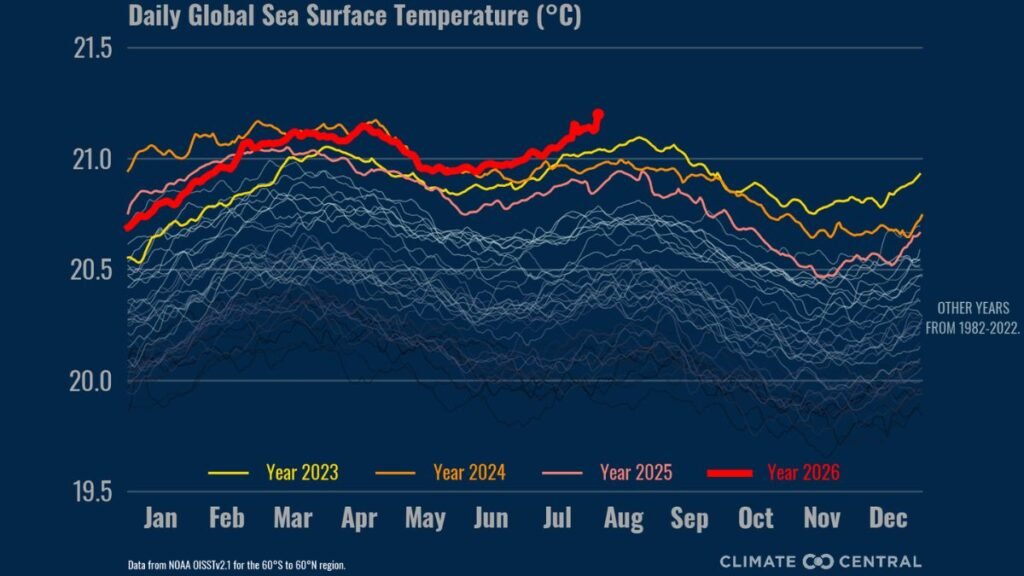 Ocean warming and daily global sea surface temperature
