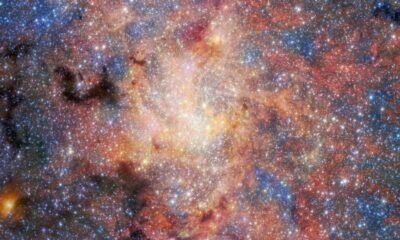 JWST infrared view of the densely populated region around the Milky Way’s central black hole, filled with stars, glowing gas and dust.
