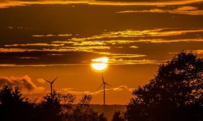 Bright sun setting behind golden clouds over silhouetted wind turbines and dense treetops.