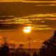 Bright sun setting behind golden clouds over silhouetted wind turbines and dense treetops.
