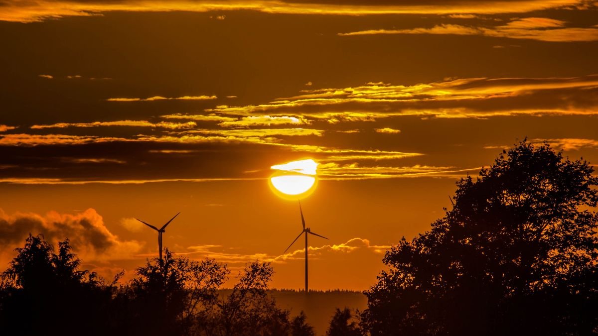 Bright sun setting behind golden clouds over silhouetted wind turbines and dense treetops.