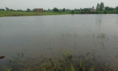 Kesarpura pond restoration