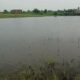 Kesarpura pond restoration