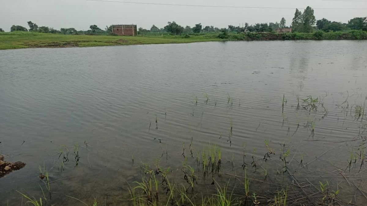 Kesarpura pond restoration