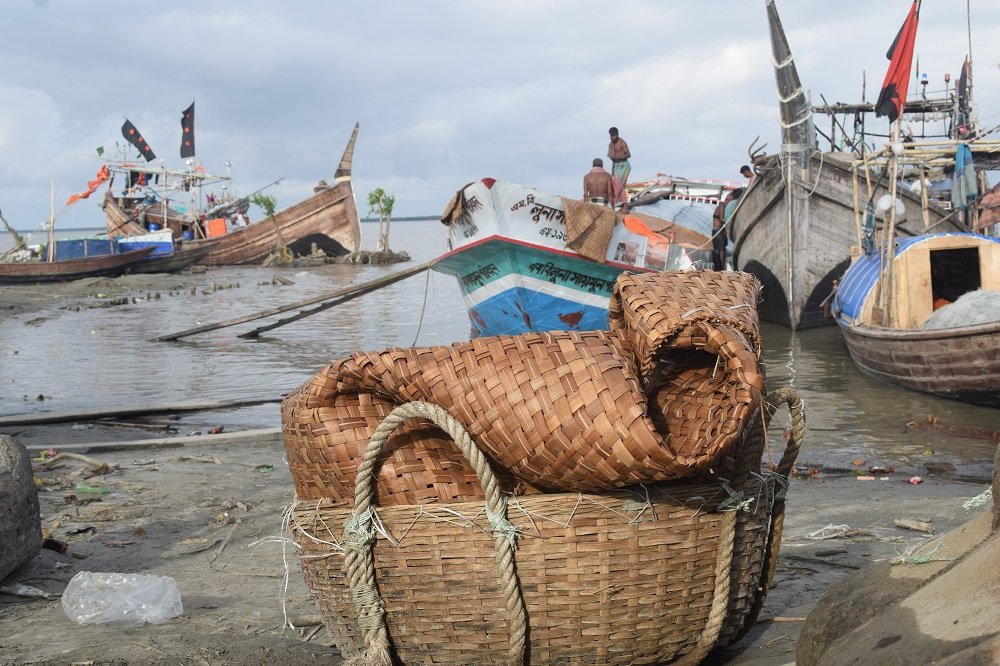 The hilsa crisis