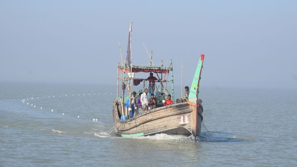 Hilsa Fishery Bangladesh