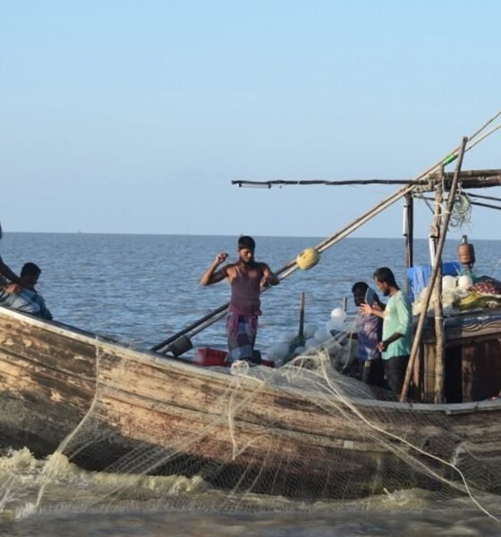 Bangladesh Hilsa fishermen crisis