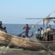 Bangladesh Hilsa fishermen crisis