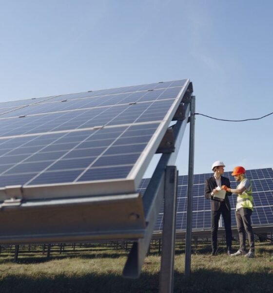 Engineers inspecting solar panels at a solar power installation under a clear blue sky.