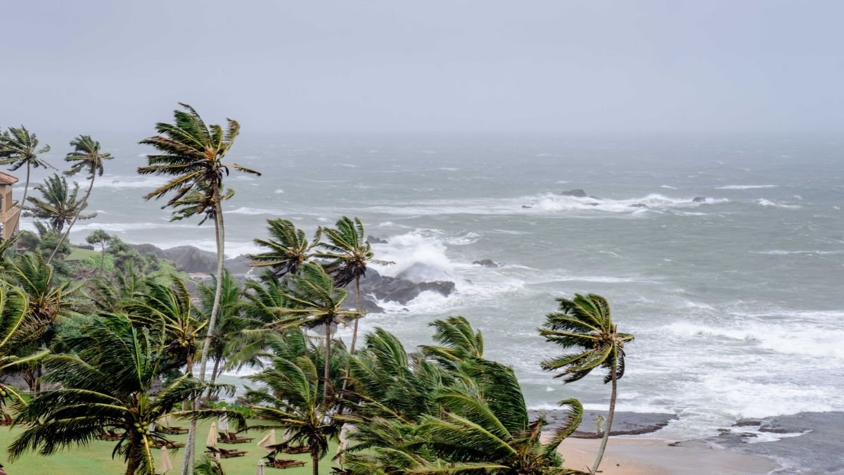 Cyclone Arnab: Strong Winds and Rough Seas Along the Coast