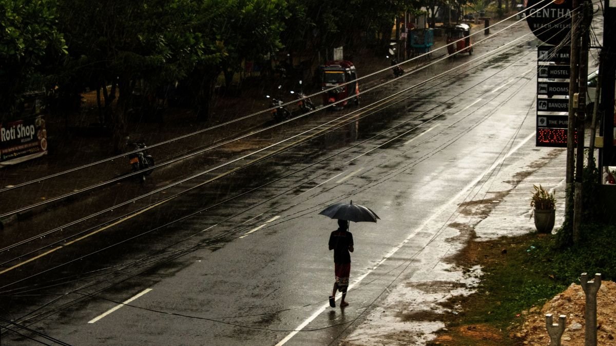 A person walks under an umbrella through light drizzle on a wet Kerala road during a deficient monsoon.