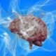 Human brain surrounded by abstract white neural structures, illustrating research into the separate developmental origins of brain cells.