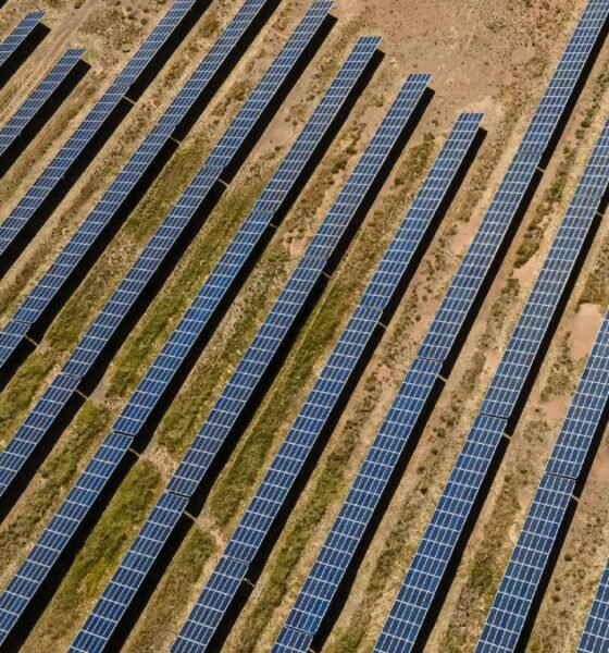 Greenfield investment: Solar Farm and Global Greenfield Investment