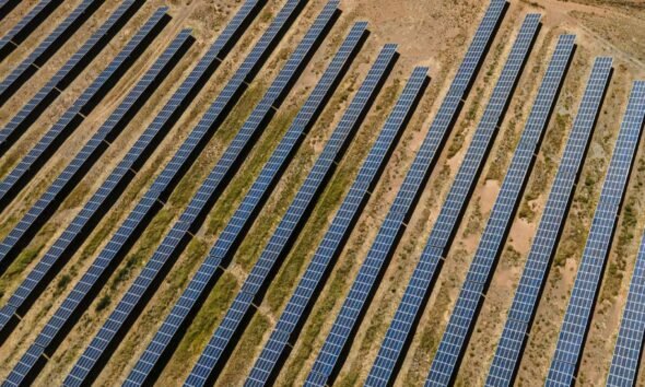 Greenfield investment: Solar Farm and Global Greenfield Investment