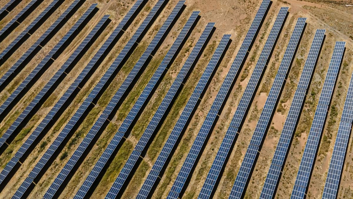 Greenfield investment: Solar Farm and Global Greenfield Investment