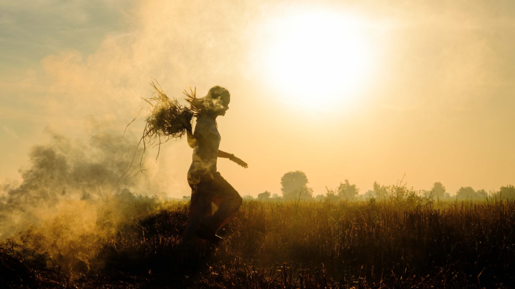 humid
el nino
heat
